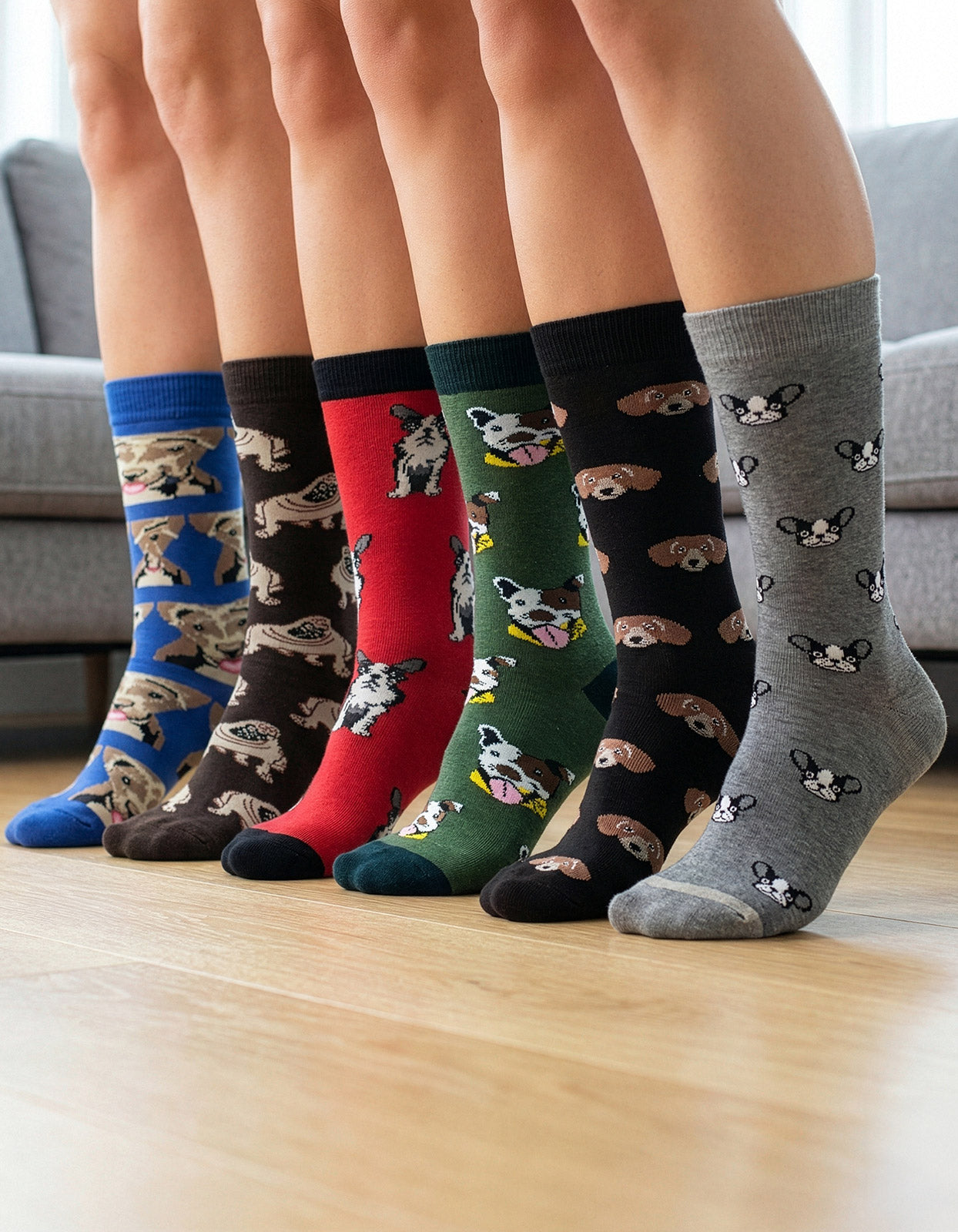 Kit 6 Meias Cano Alto Pet Mania Cachorro Vira Lata Bulldog Francês Salsicha Basset Dachshund Bulldog