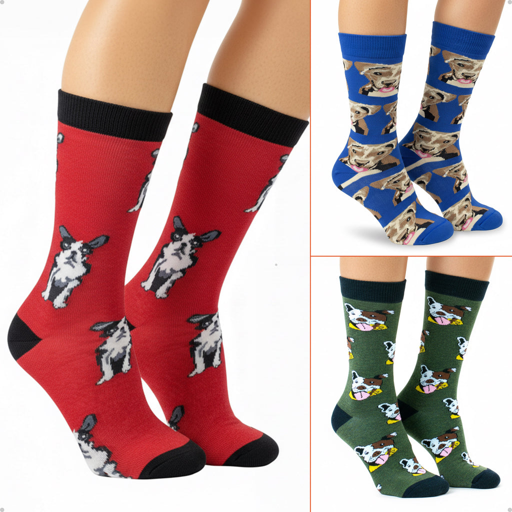 Kit 3 Meias Cano Alto Animais Cachorro