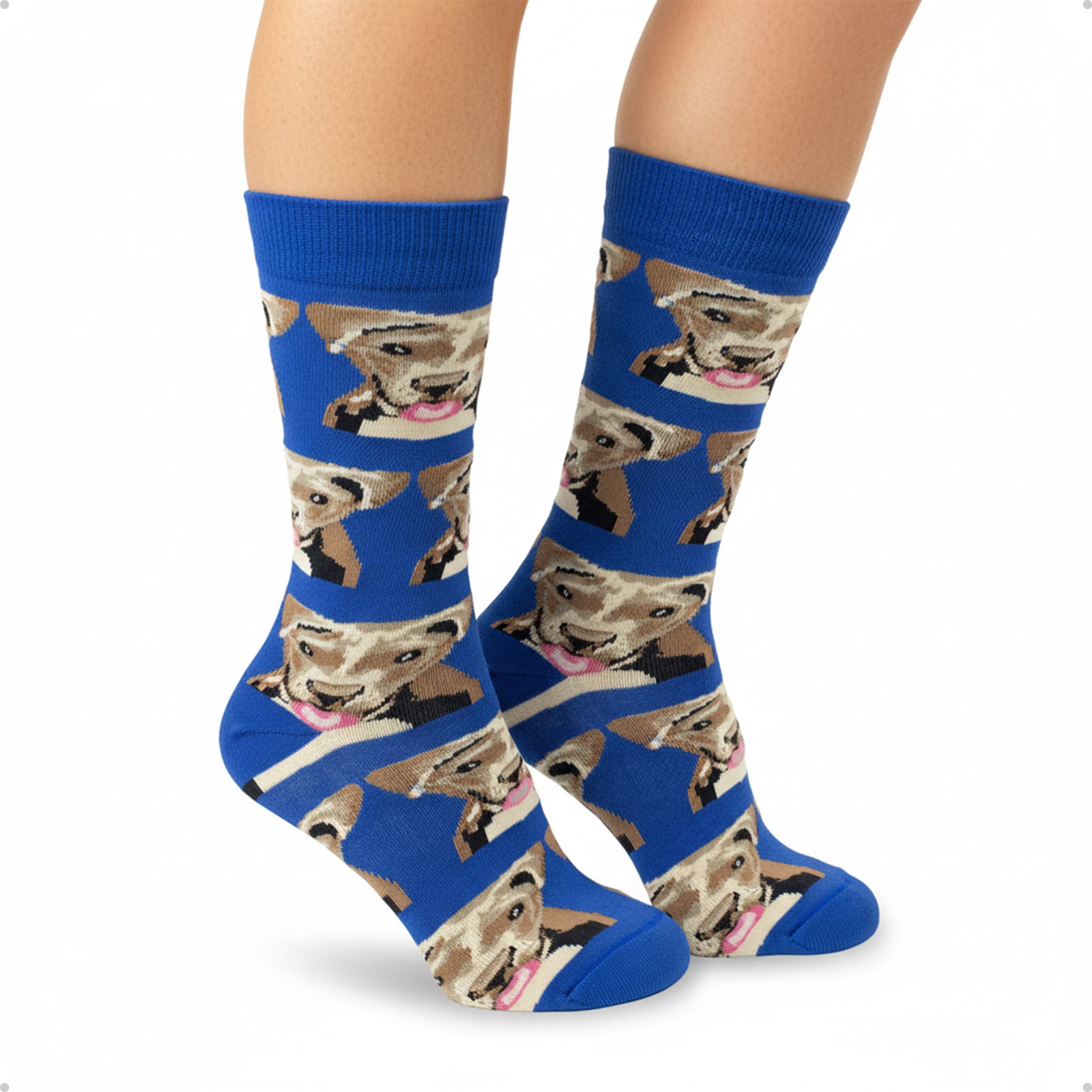 Meia Divertida Estampada Oddo Cano Longo Cachorro Vira Lata