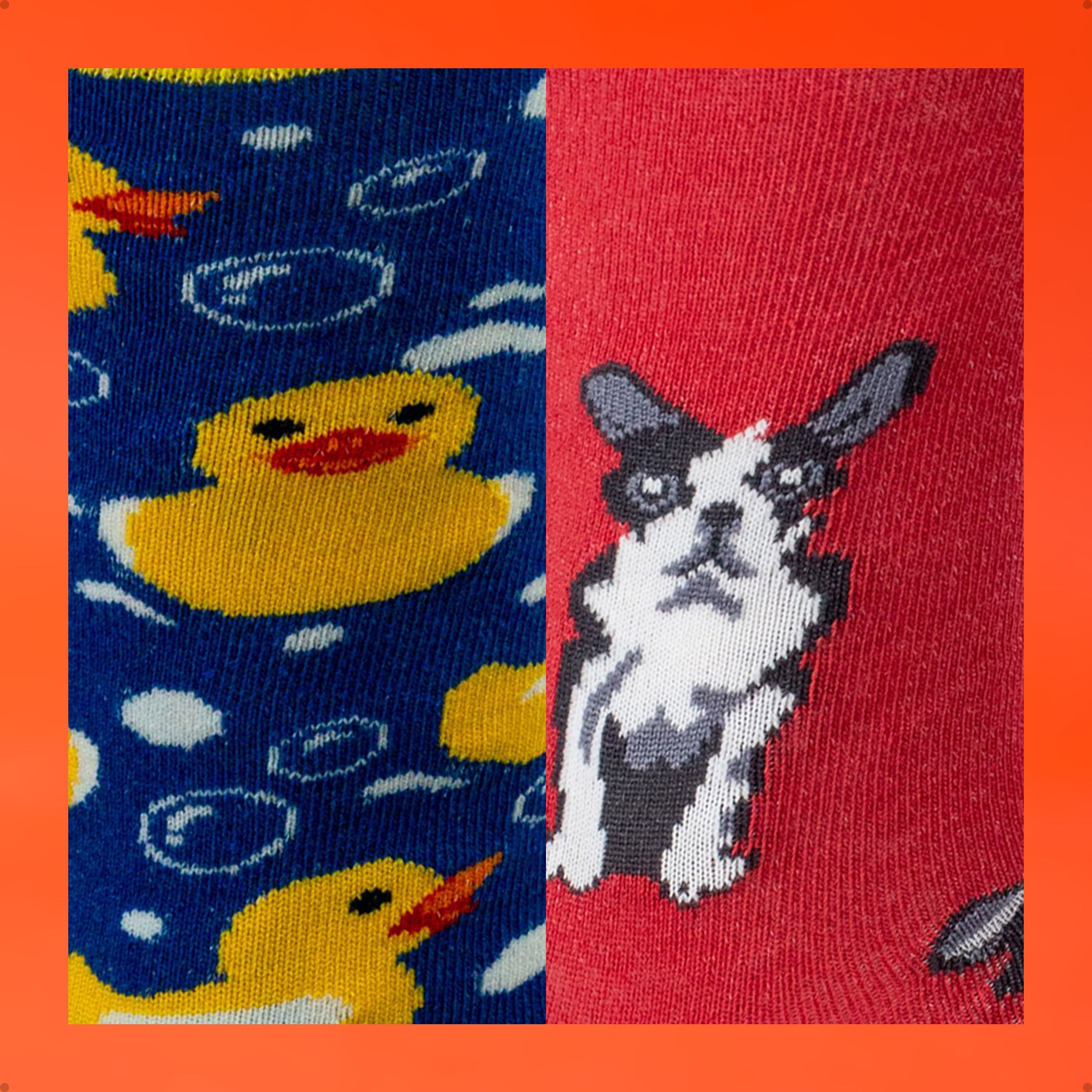 Kit 2 Meias Divertidas Estampadas Oddo Animais Pato Bulldog