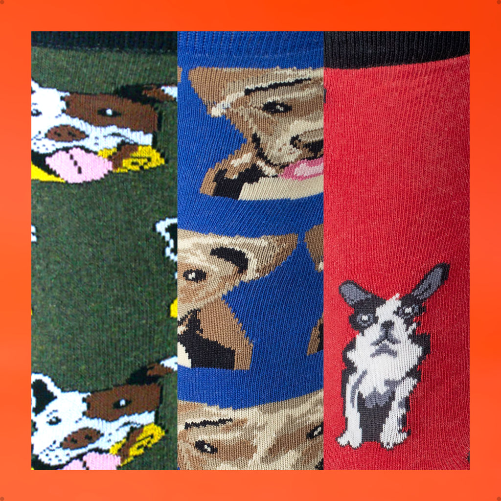 Kit 3 Meias Cano Alto Animais Cachorro