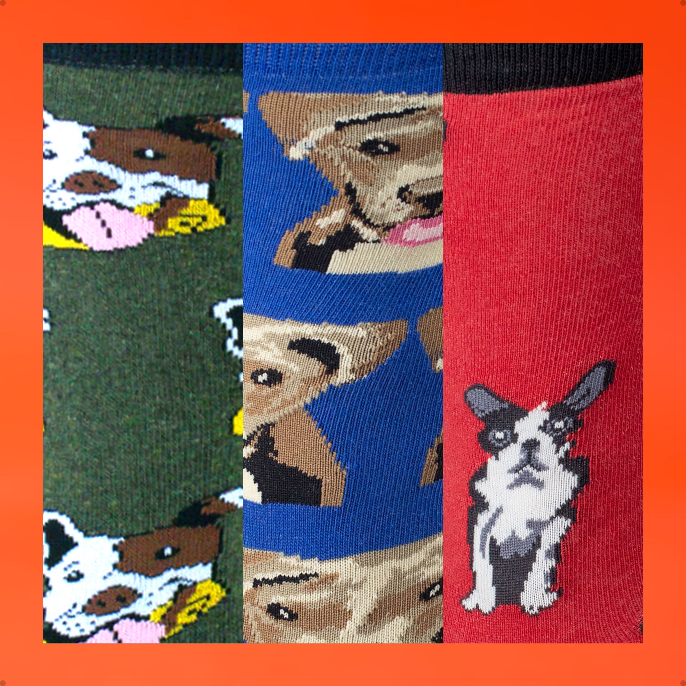 Kit 3 Meias Cano Alto Animais Cachorro