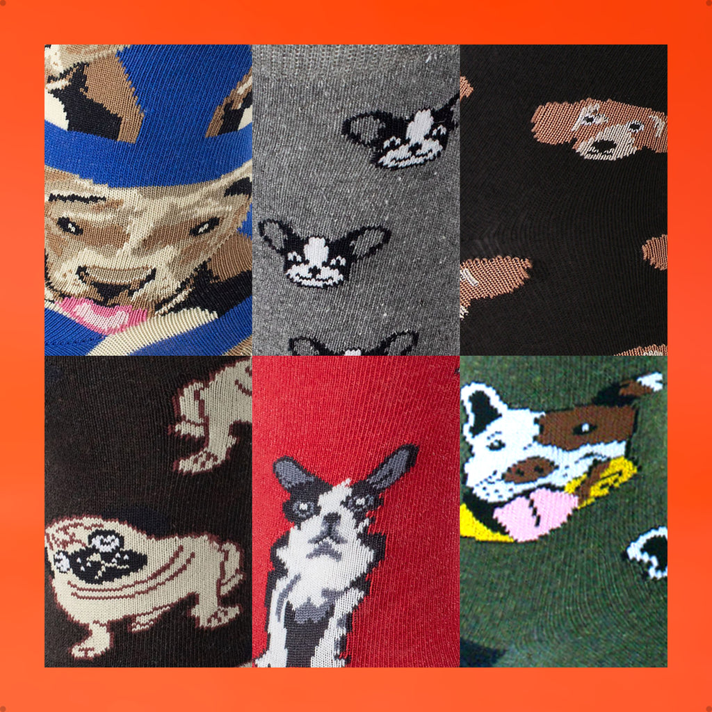 Kit 6 Meias Cano Alto Pet Mania Cachorro Vira Lata Bulldog Francês Salsicha Basset Dachshund Bulldog