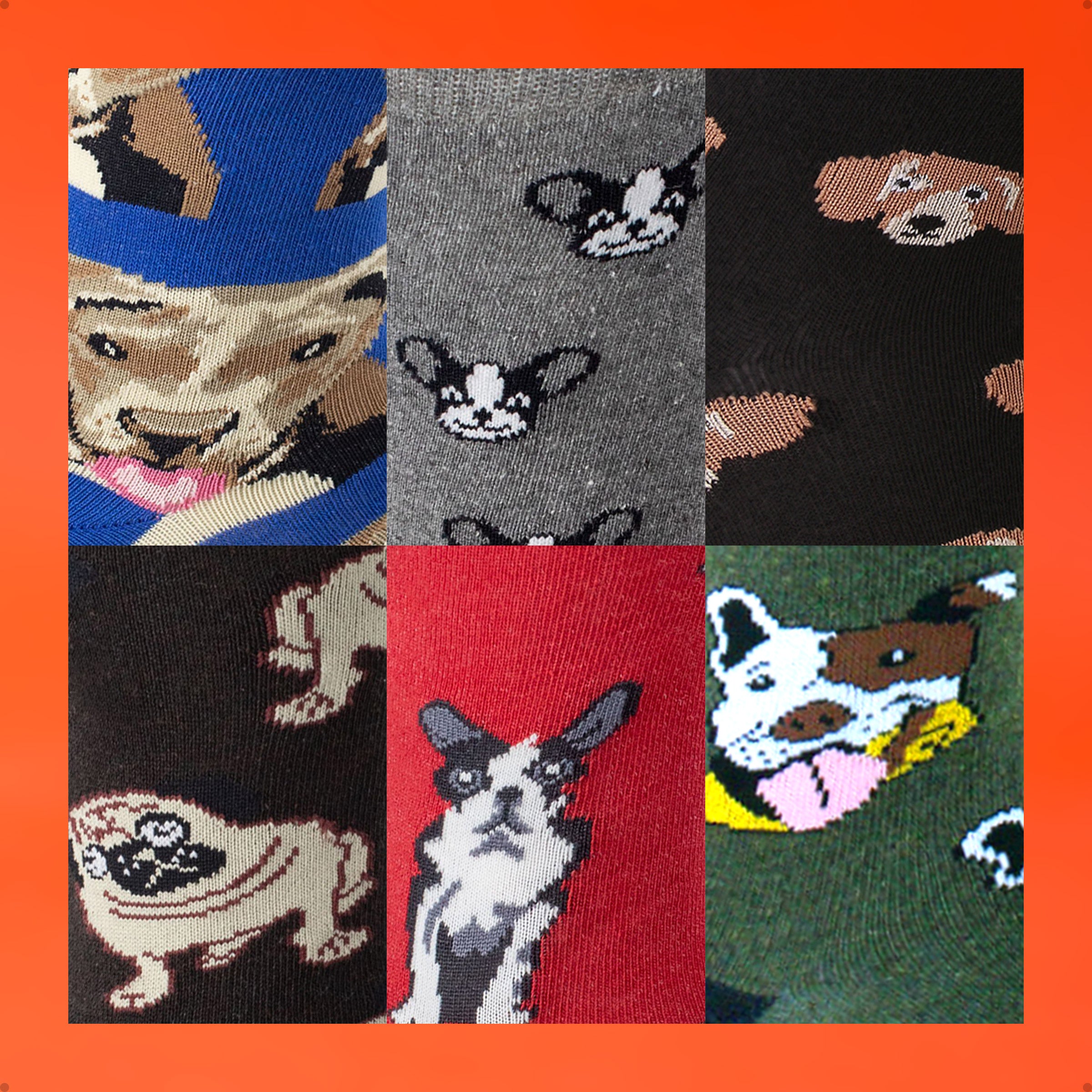 Kit 6 Meias Cano Alto Pet Mania Cachorro Vira Lata Bulldog Francês Salsicha Basset Dachshund Bulldog