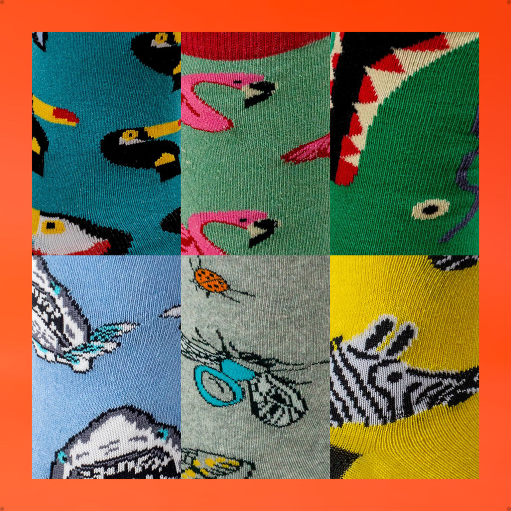 Kit 6 Meias Cano Alto Safari Tucano Flamingo Jacaré Tubarão Insetos Zebra