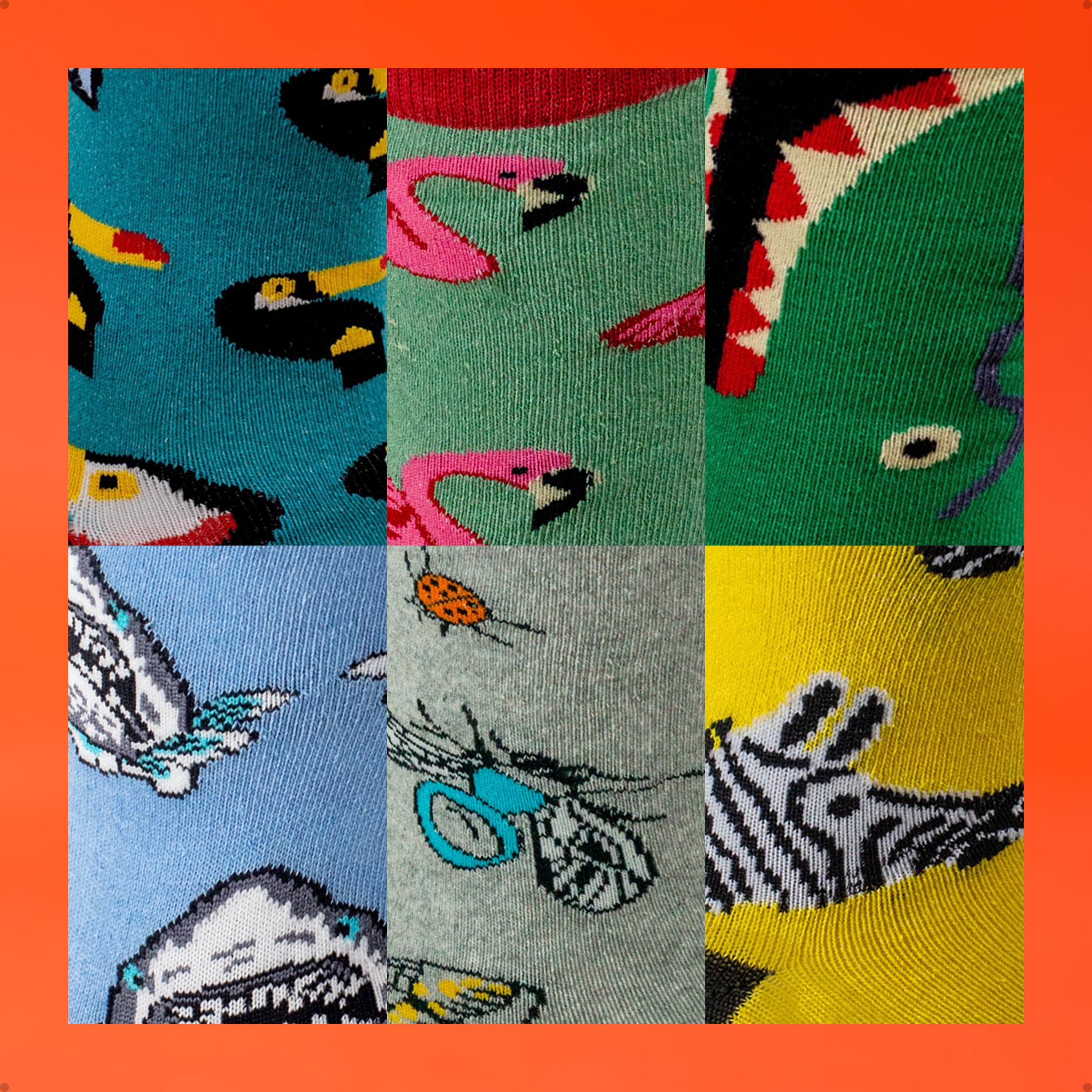 Kit 6 Meias Cano Alto Safari Tucano Flamingo Jacaré Tubarão Insetos Zebra