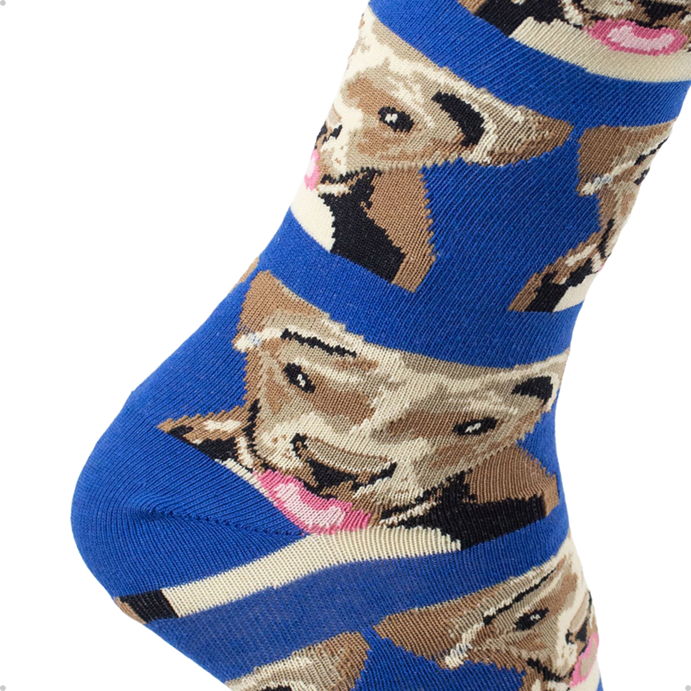 Meia Divertida Estampada Oddo Cano Longo Cachorro Vira Lata