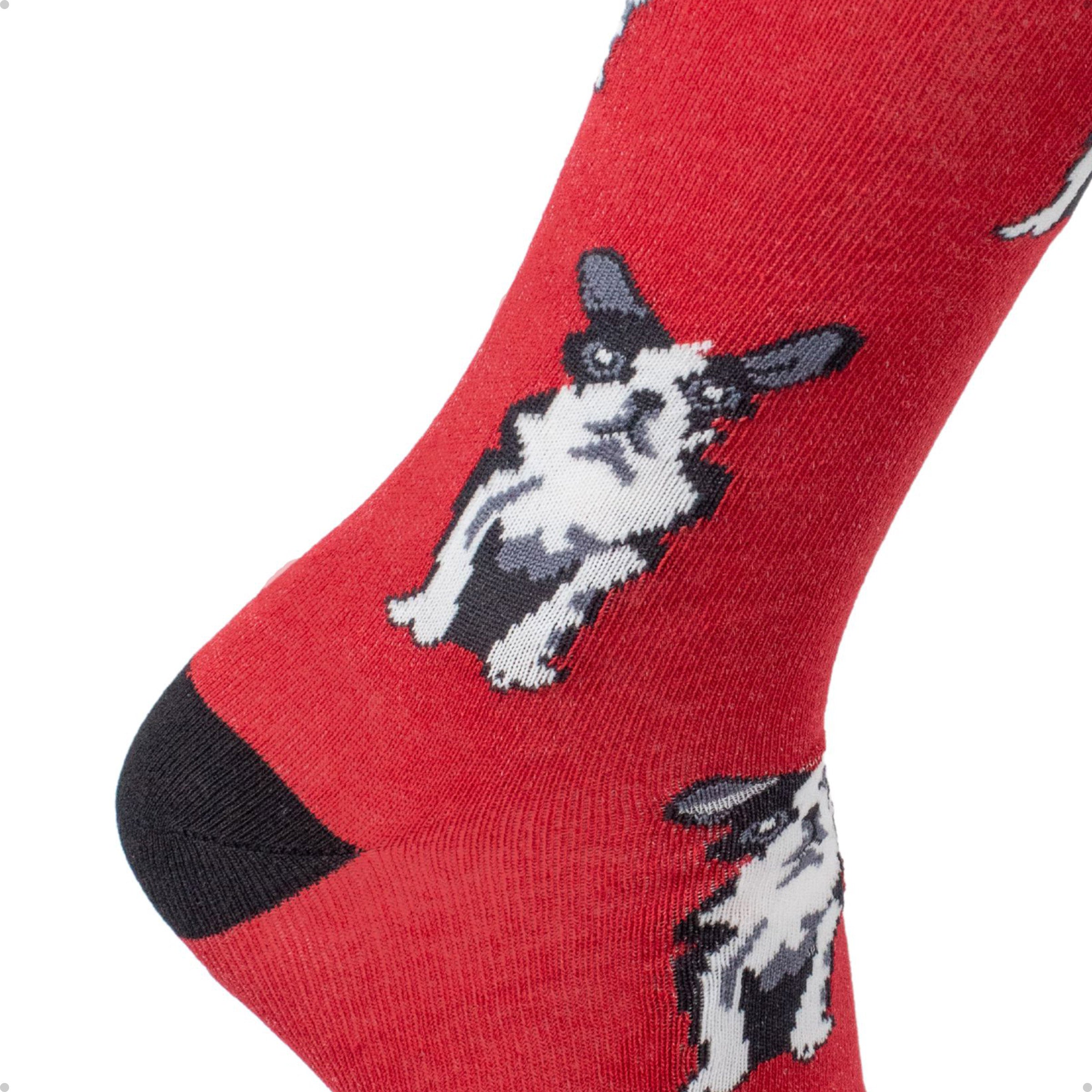 Meia Divertida Estampada Oddo Cano Longo Vermelho Cachorro Bulldog