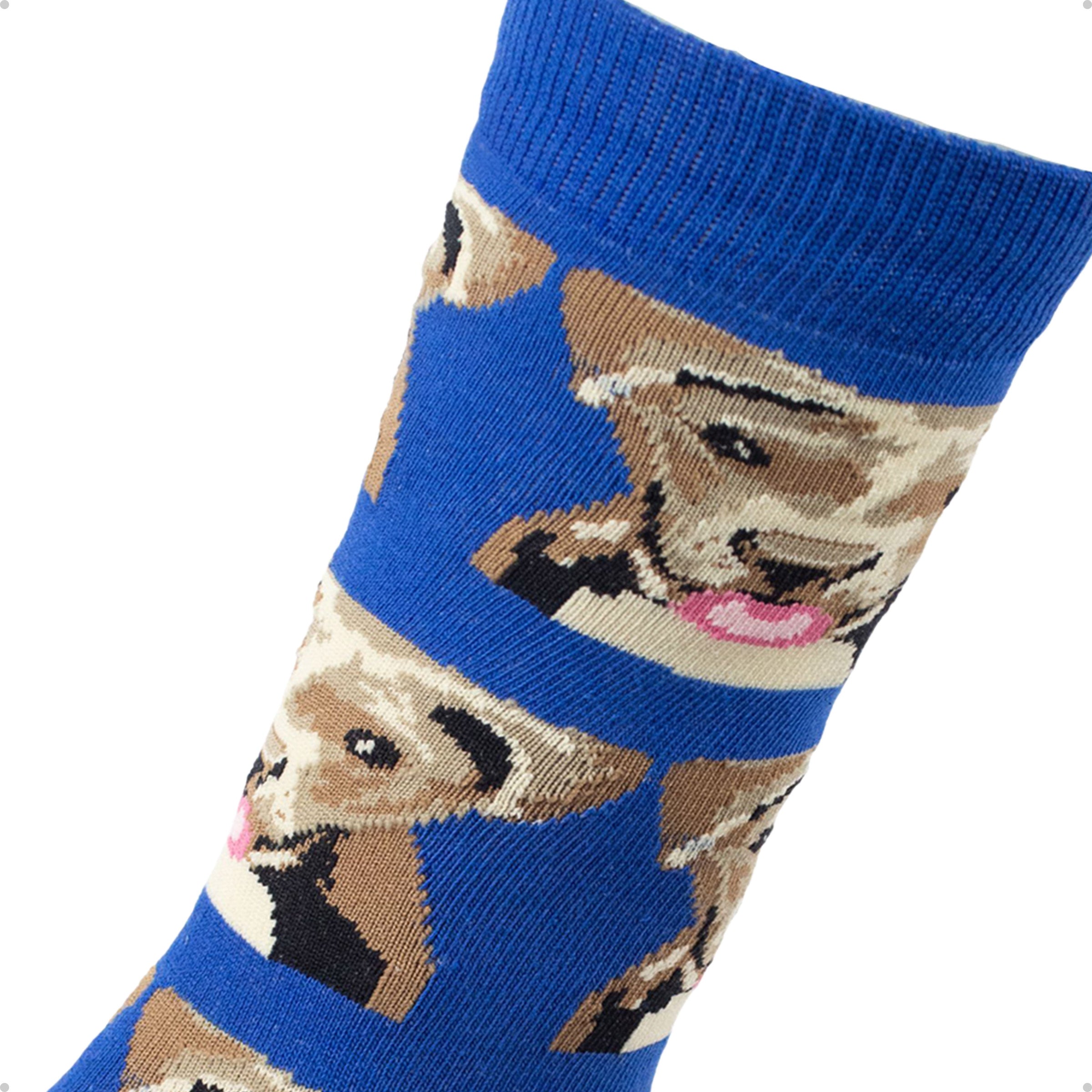 Meia Divertida Estampada Oddo Cano Longo Cachorro Vira Lata