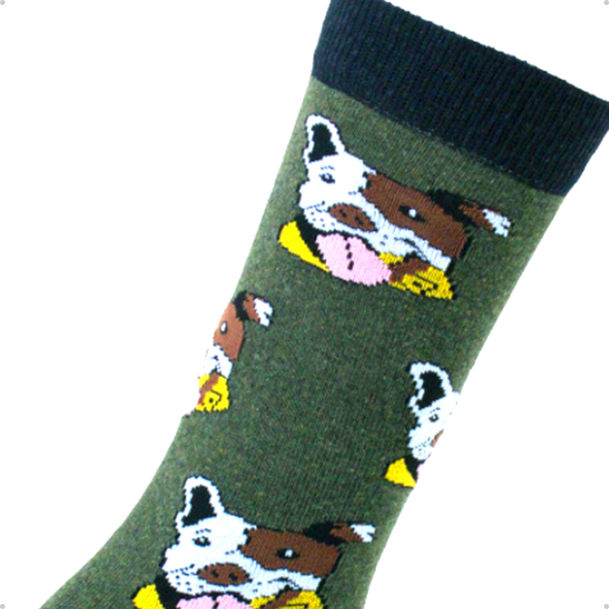 Meia Divertida Estampada Oddo Cano Longo Verde Cachorro