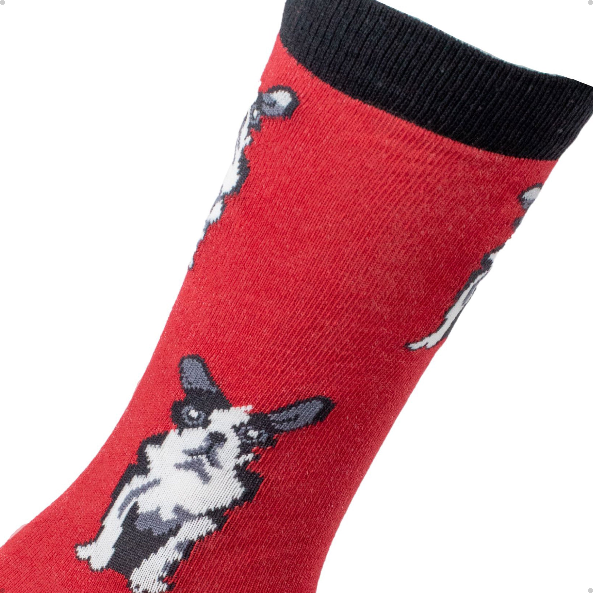 Meia Divertida Estampada Oddo Cano Longo Vermelho Cachorro Bulldog