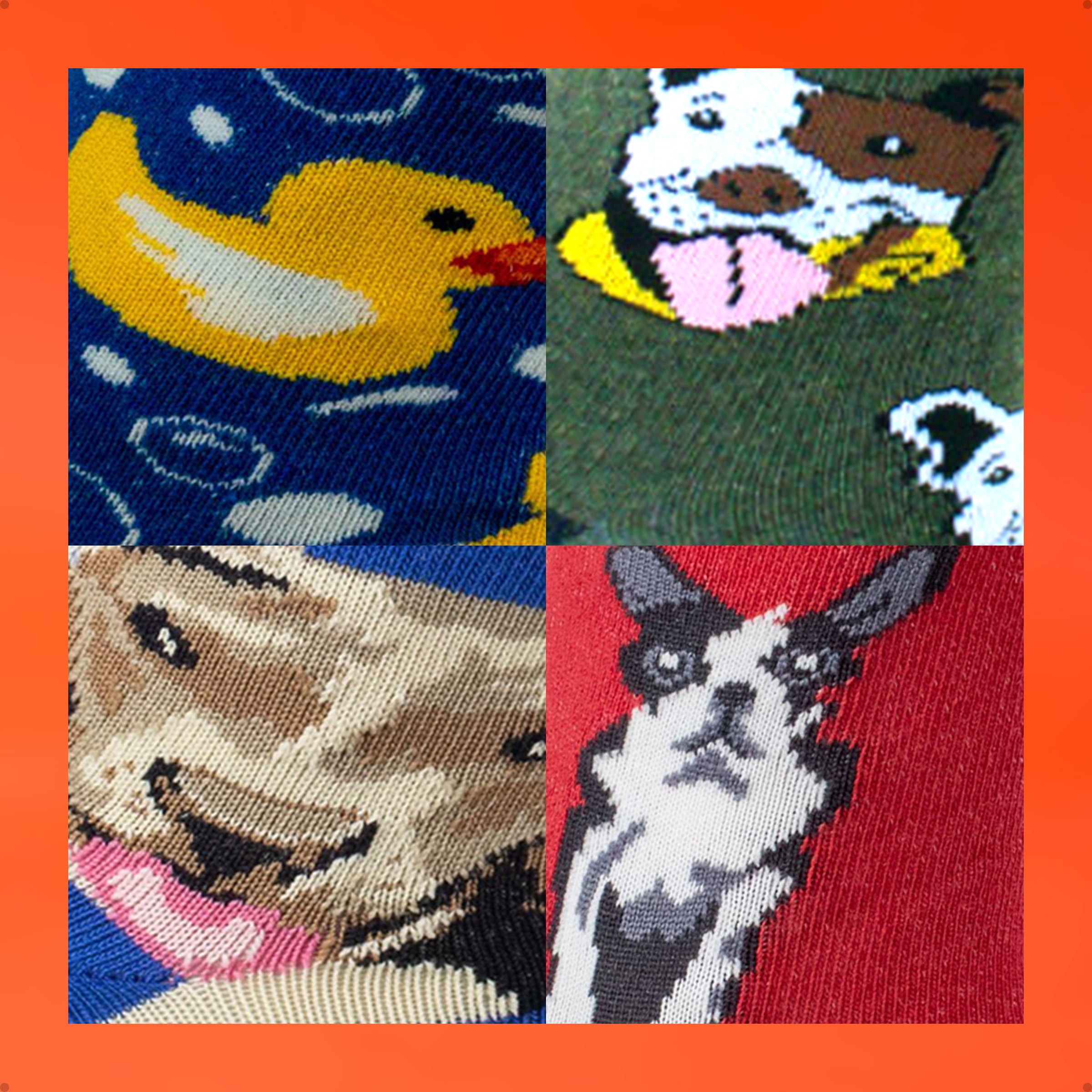 Kit 4 Meias Divertidas Oddo Animais Cachorro Patinho